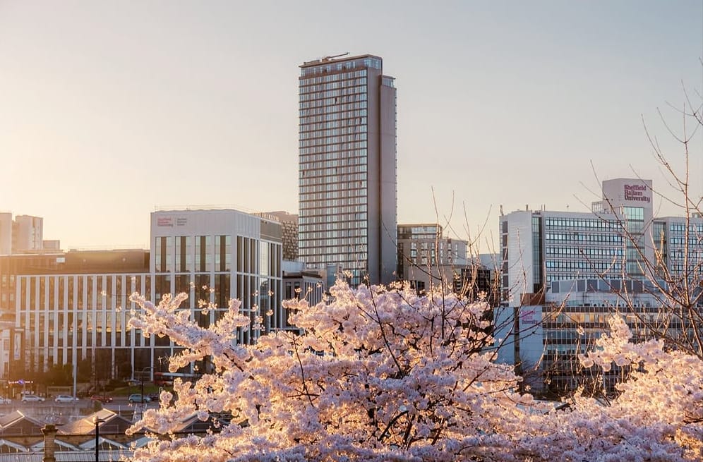 Sheffield tip one of the worst in country for illegal dumping