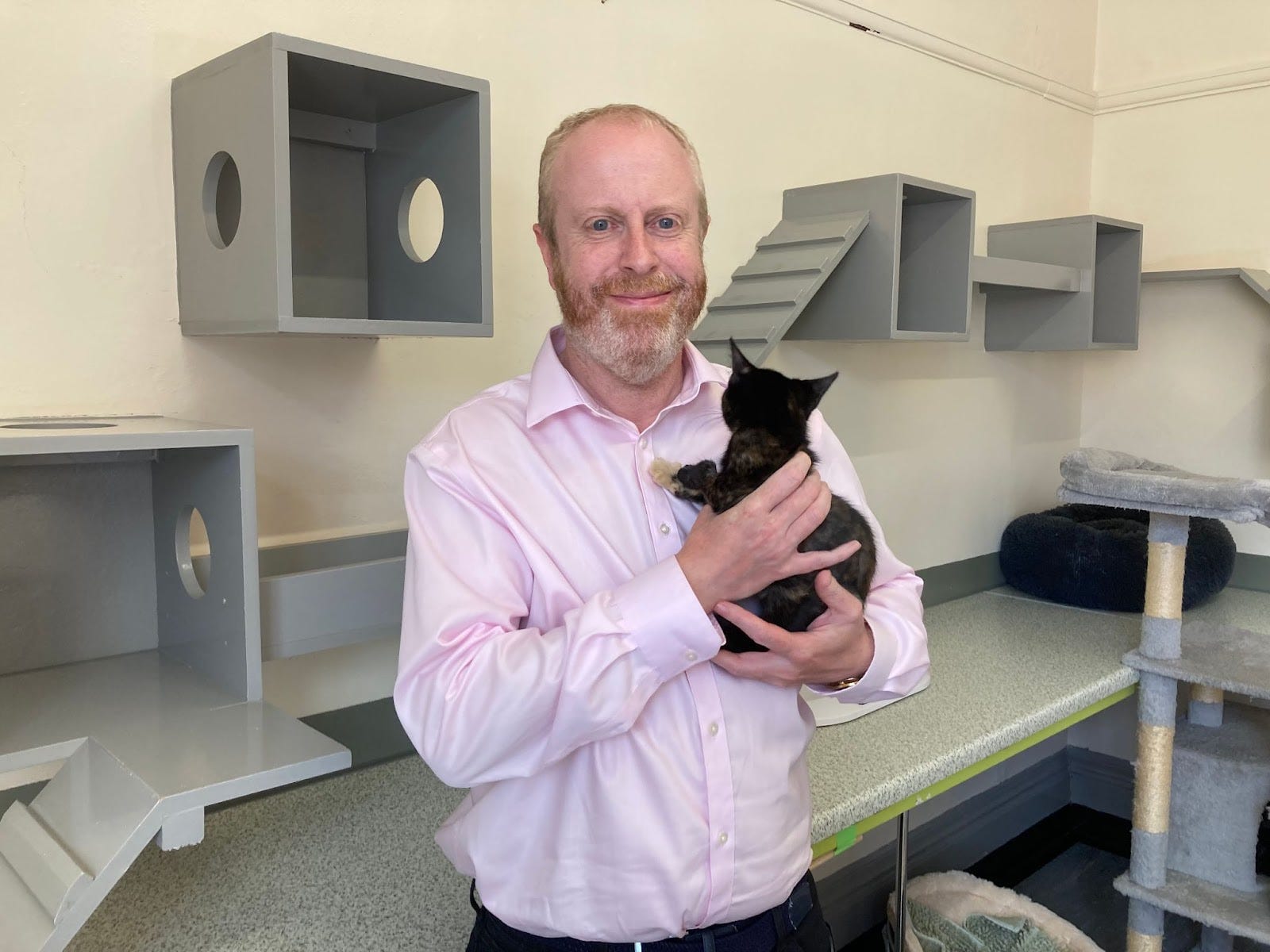 After a ‘catastrophic kitten season’, the city’s cat charities are struggling