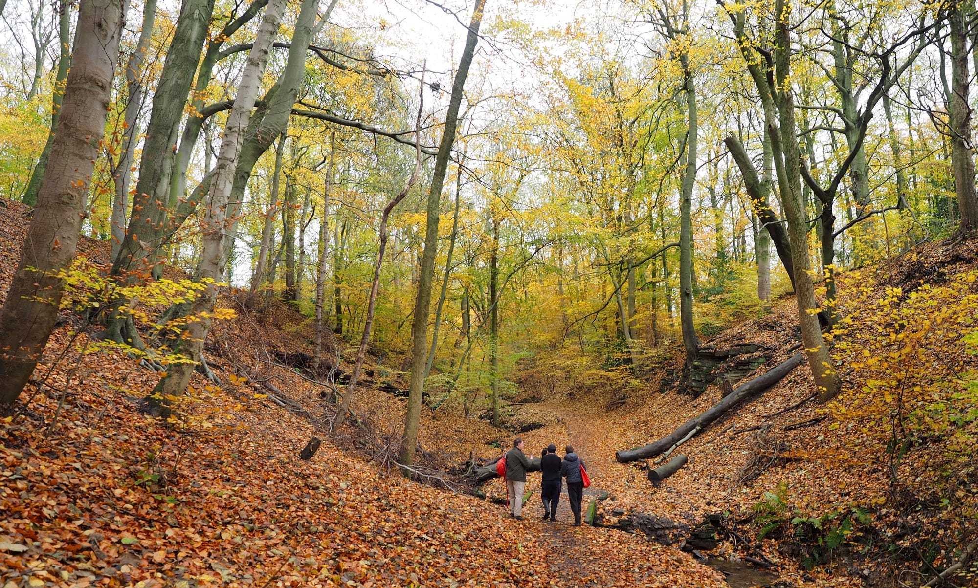 Rising from the Graves: digging into the history of Sheffield’s biggest park