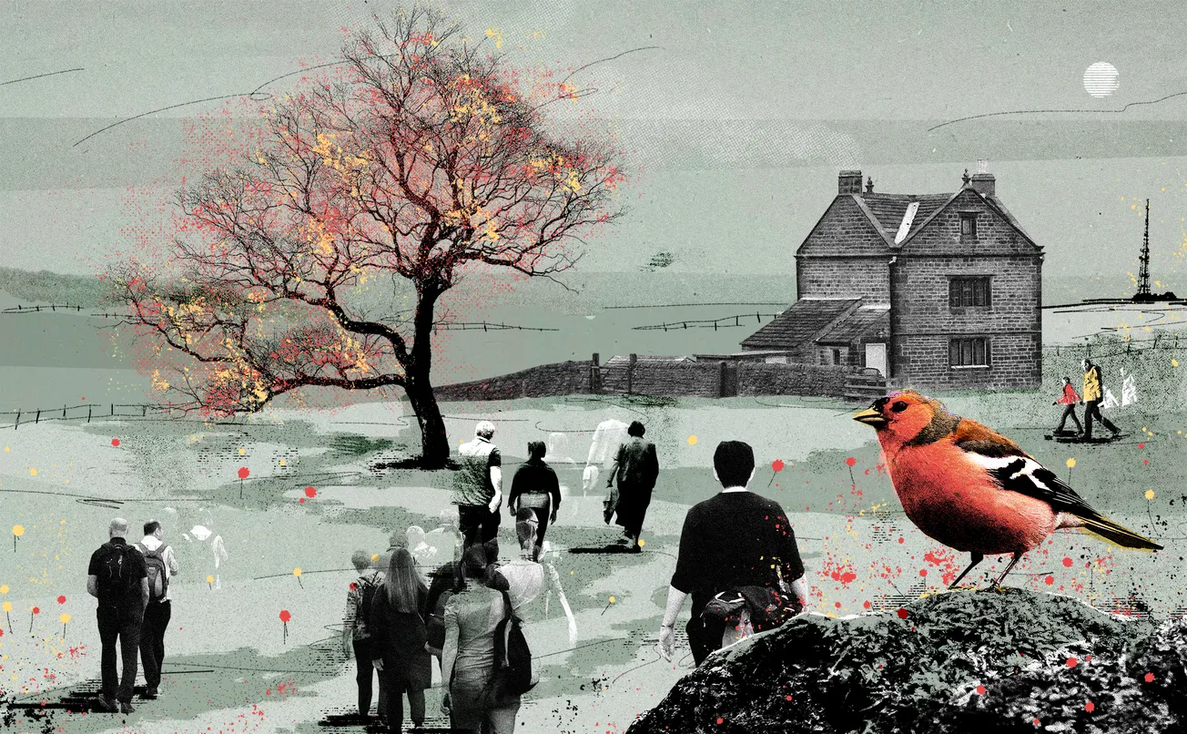 Animals of all kinds love the Longshaw Estate — especially humans