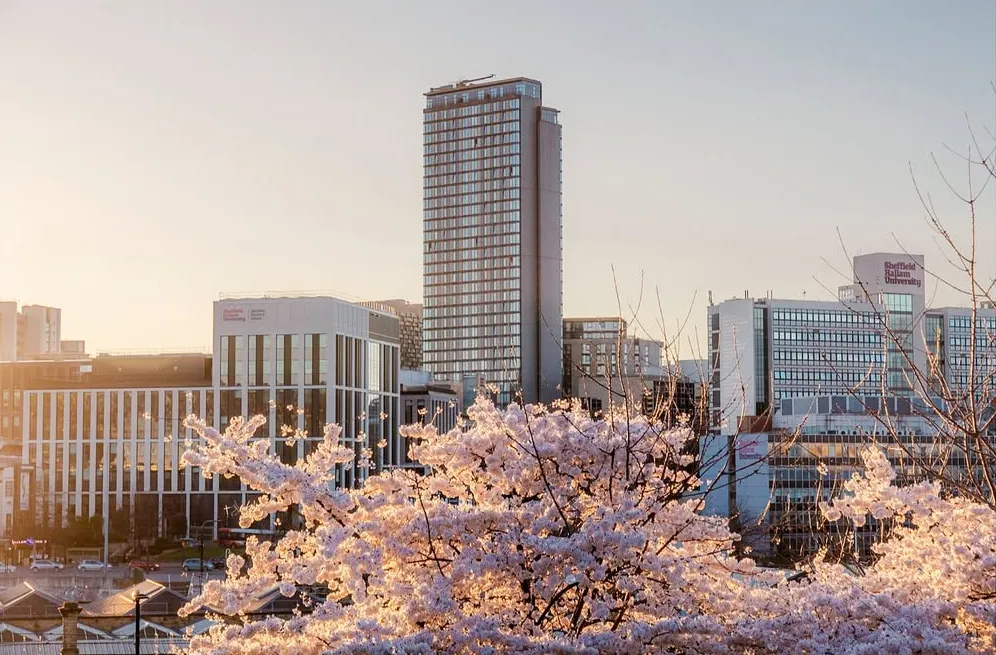 Sheffield tip one of the worst in country for illegal dumping
