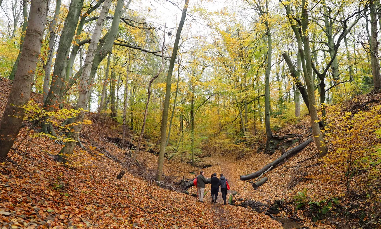 Rising from the Graves: digging into the history of Sheffield’s biggest park